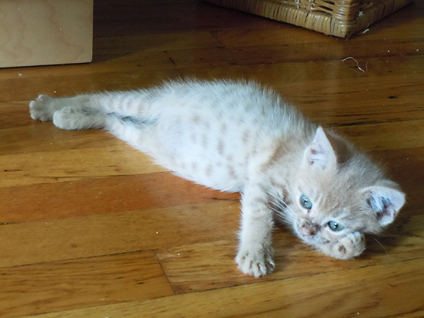 Draw Me Like One Of Your French Girls