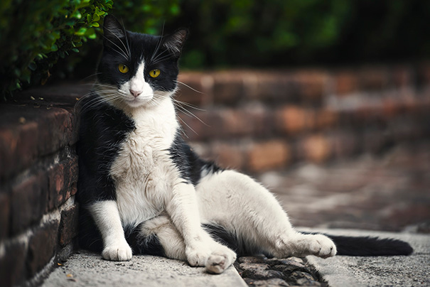 Draw Me Like One Of Your French Girls