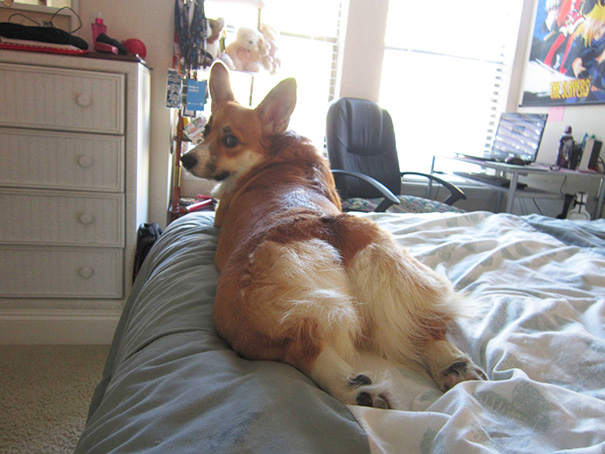 Draw Me Like One Of Your French Girls