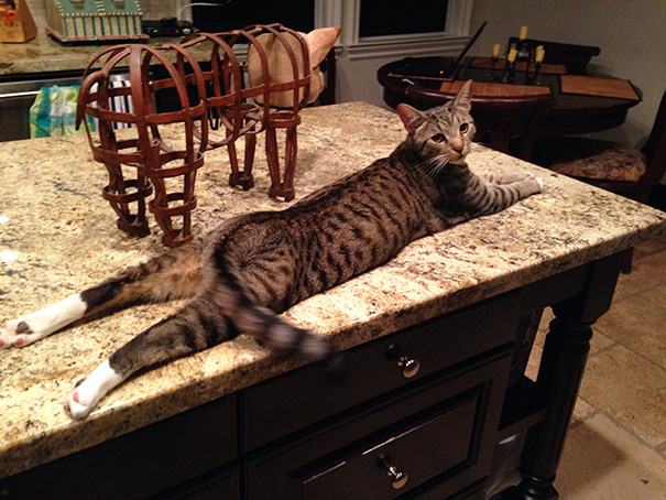 Draw Me Like One Of Your French Boys