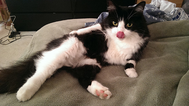 Draw Me Like One Of Your French Girls