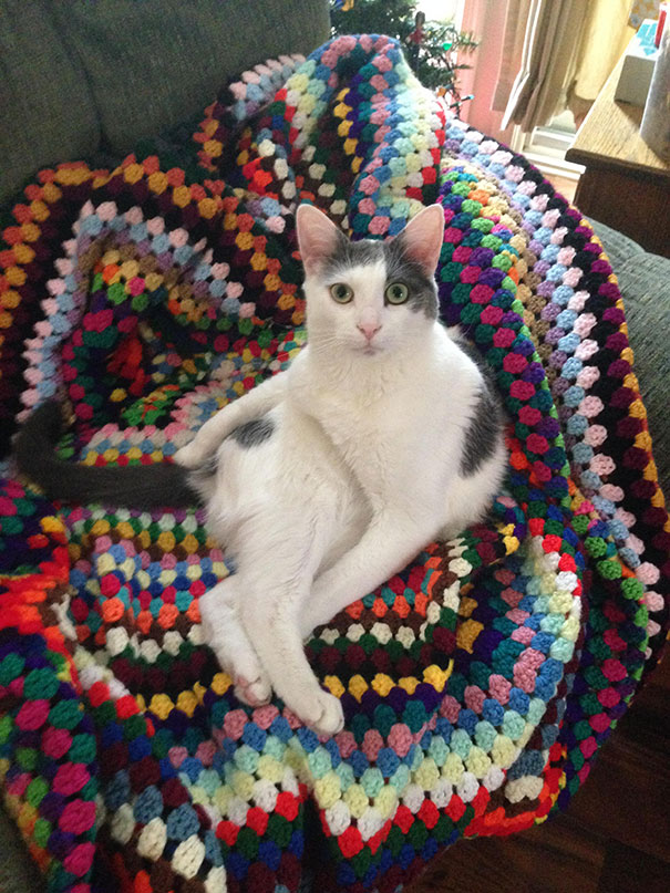 Draw Me Like One Of Your French Girls, Jack