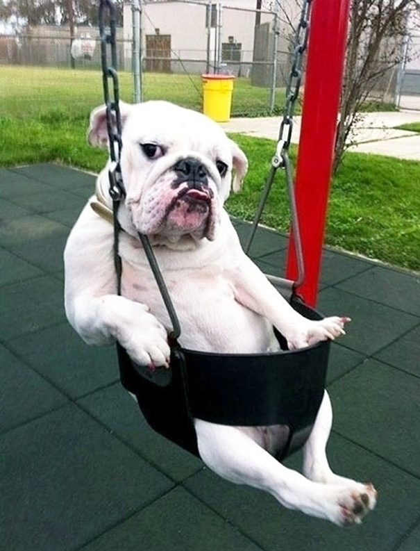 I'm Sexy And I Know It