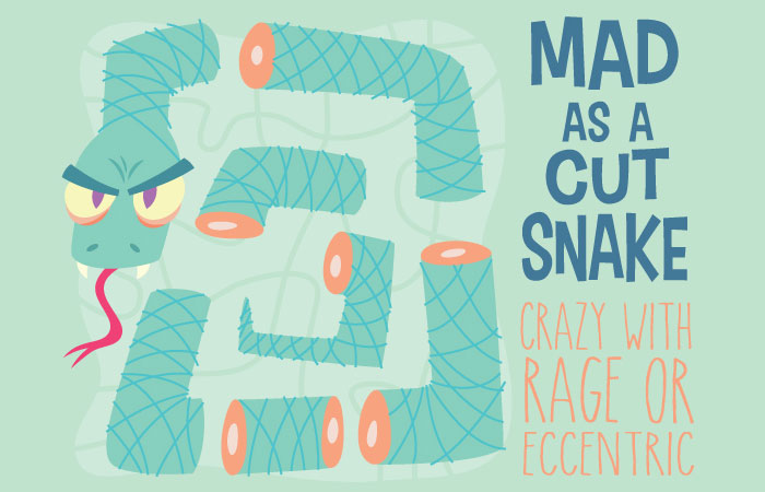 10 Bizarre Aussie Sayings Explained With Illustrations