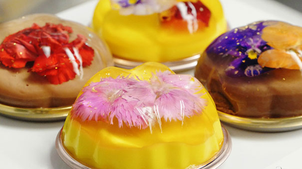 bavarian-cream-flower-bavarois-dessert-havaro-14 bavarian-cream-flower-bavarois-dessert-havaro-14