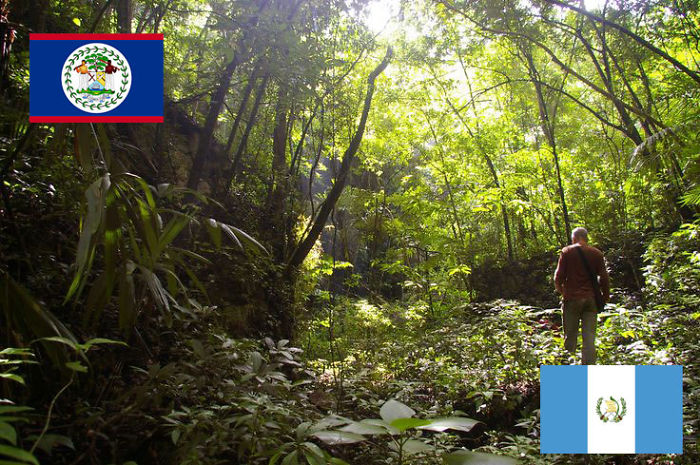 Belize Guatemala Border In The Jungle