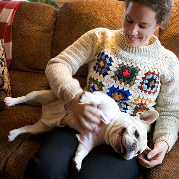 Bella Enjoys A Belly Rub