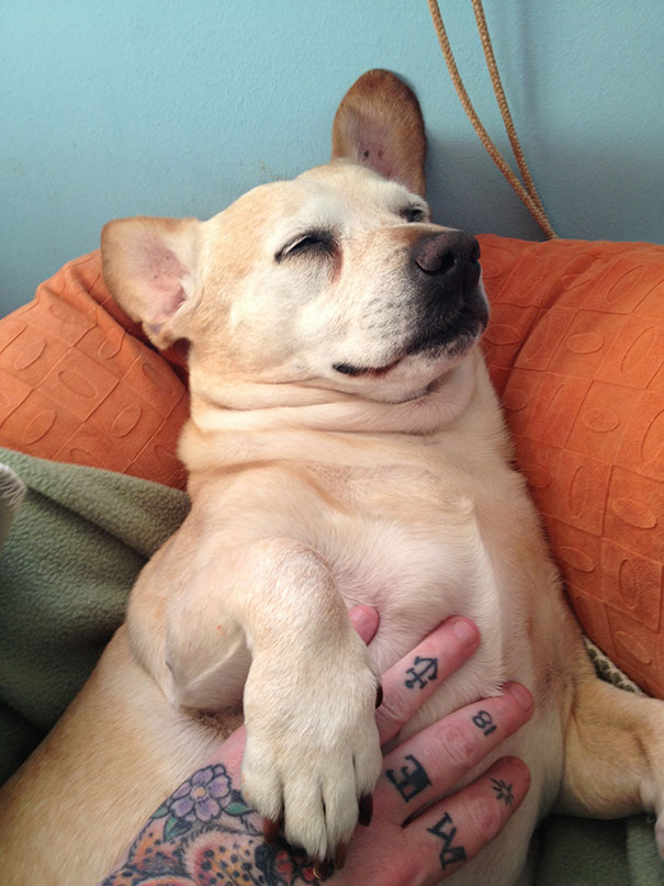 Alice Does Love Her Tummy Rubs