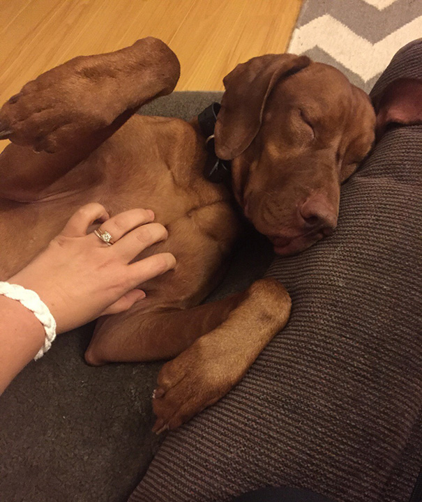 Sometimes You Fall Asleep Mid Tummy Rub