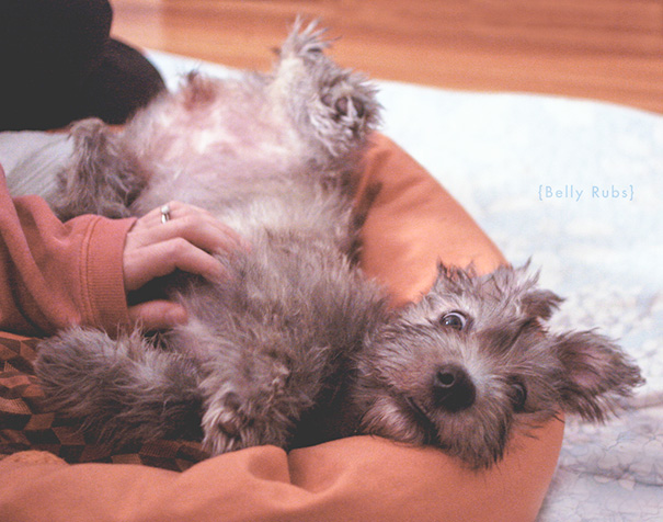 Belly Rubs