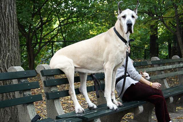 Just Sitting On The Bench