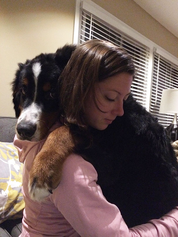 We've Gotten Too Big For Standing Hugs But That Doesn't Stop It