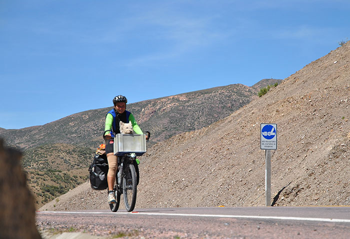 I’m Cycling 26,000 Km Around The World With My Blind Dog Tulku