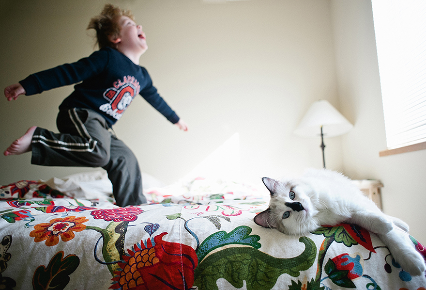 boy-cat-friendship-beth-mancuso-21 boy-cat-friendship-beth-mancuso-21