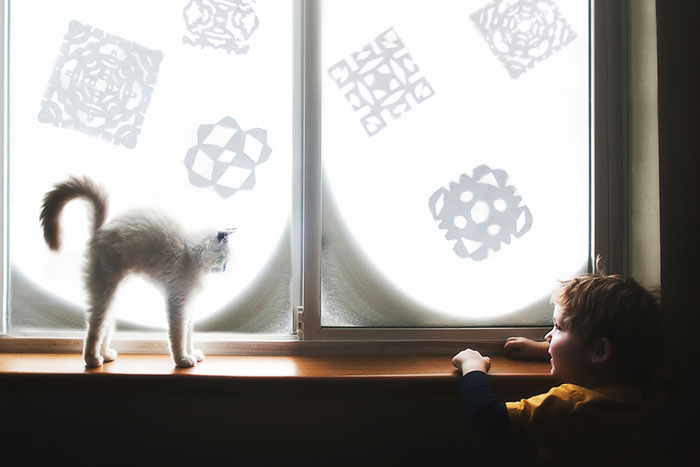 A Boy And His Cats: I Document The Bond Between My Boys And Their Cats