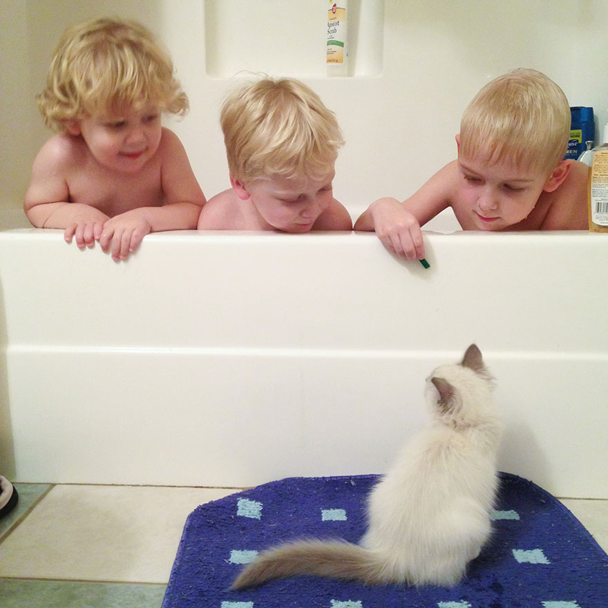 boy-cat-friendship-beth-mancuso7 boy-cat-friendship-beth-mancuso7