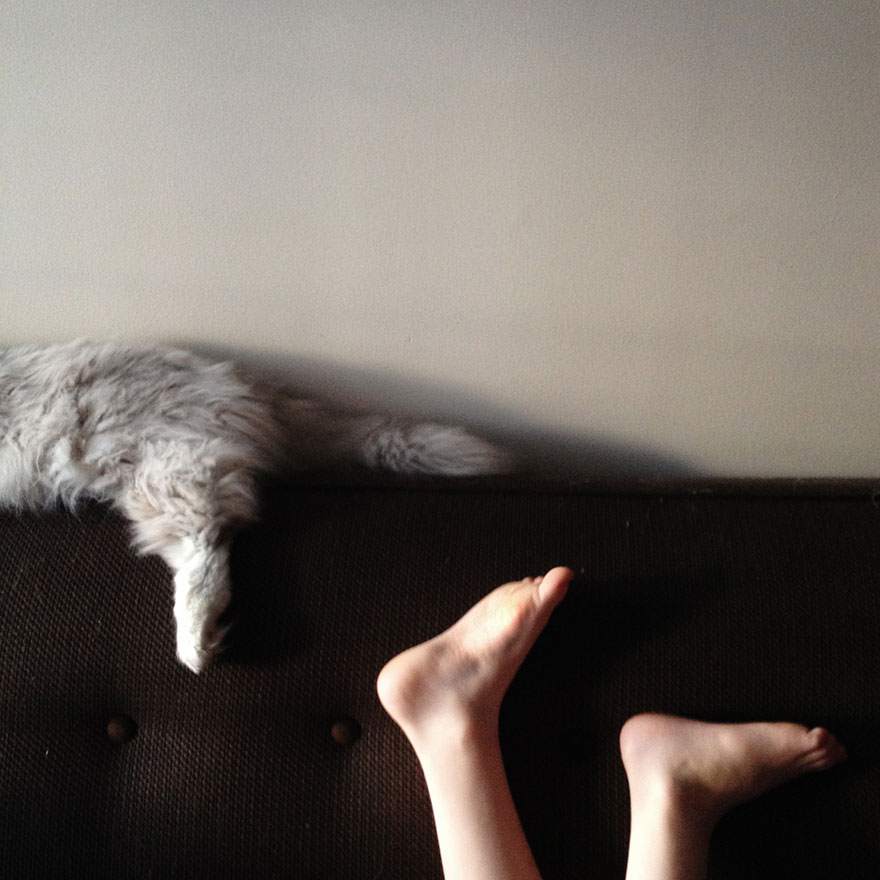 boy-cat-friendship-beth-mancuso8 boy-cat-friendship-beth-mancuso8