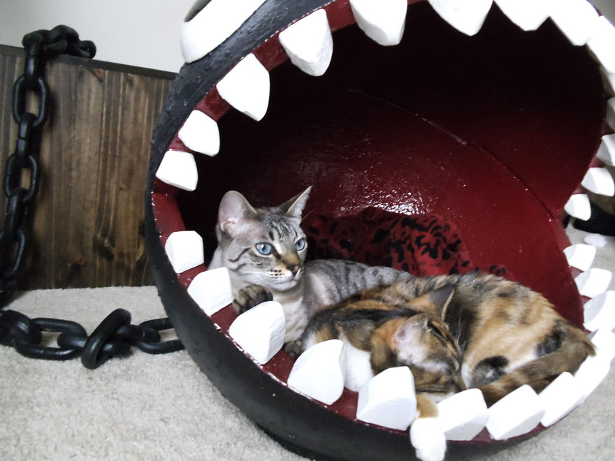 I Made A Bed For My Cat Inspired By Super Mario's Chain Chomp Monster