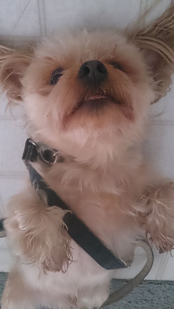 Belly Rub Happiness!