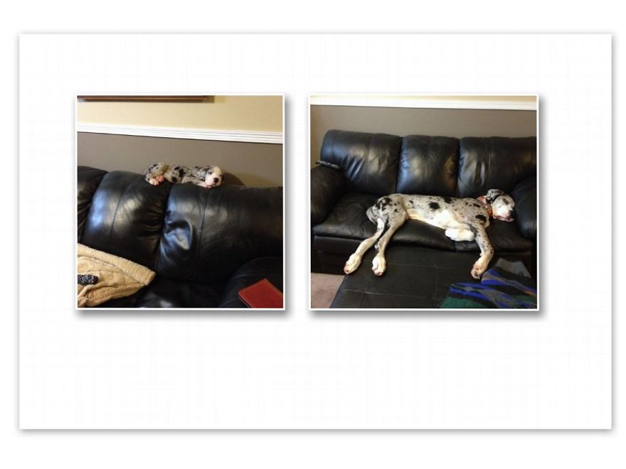 Tucker 2 Months And 12 Months