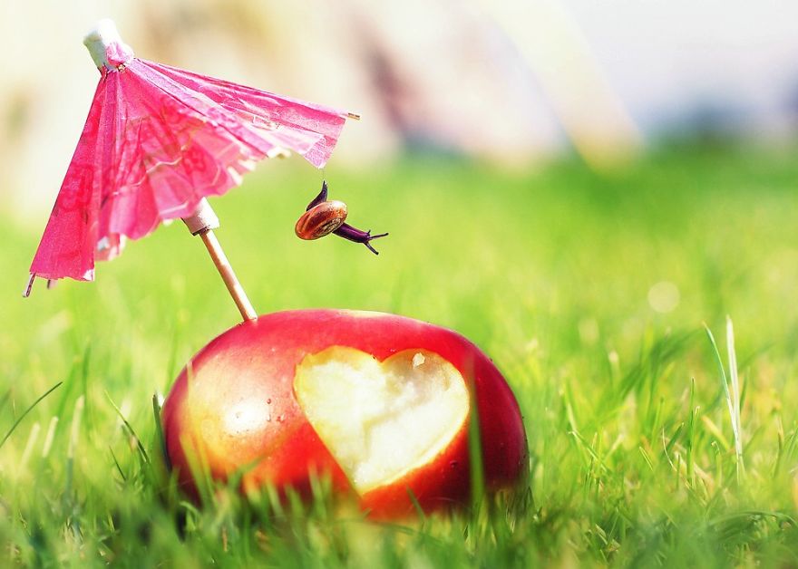 Let Me Show You How Beautiful And Courageous Snails Can Be