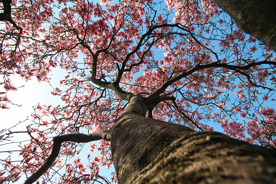 couple-travel-world-how-far-from-home-stevo-dirnberger-chanel-cartell-8