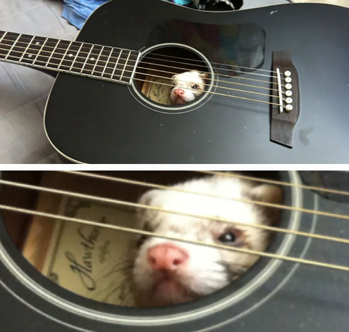 I Left You Alone For Five Minutes