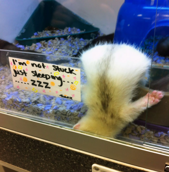 I'm Not Stuck , Just Sleeping