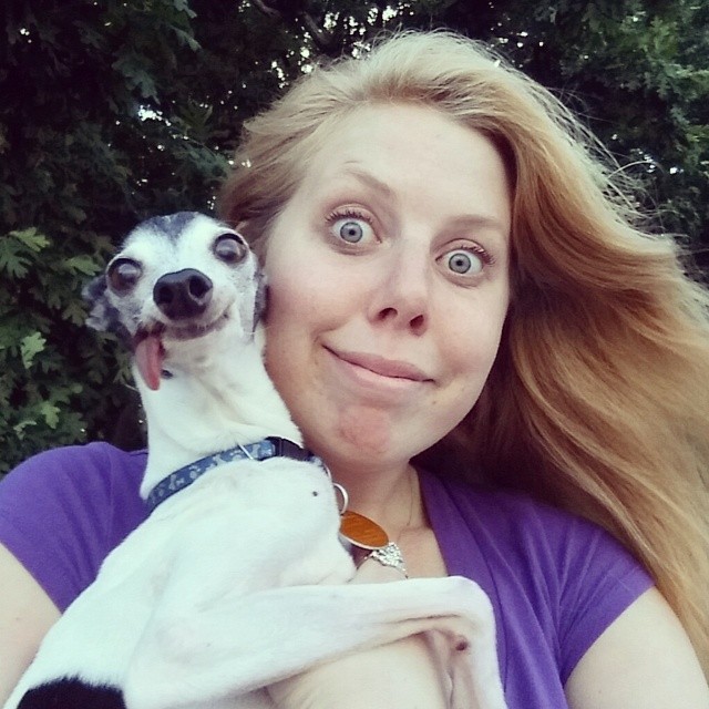 derpy-dog-greyhound-sticking-tongue-zappa-17 derpy-dog-greyhound-sticking-tongue-zappa-17