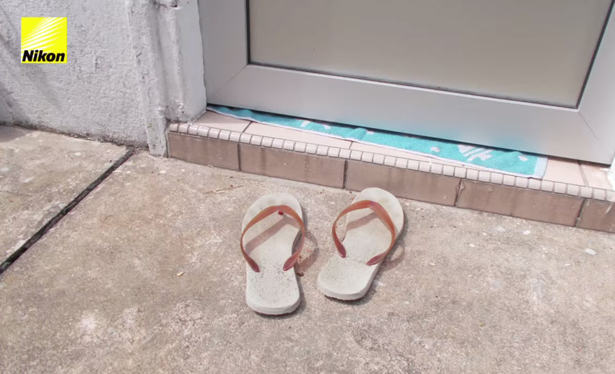 dog-takes-photos-heart-rate-monitor-phodographer-heartography-nikon-14 dog-takes-photos-heart-rate-monitor-phodographer-heartography-nikon-14