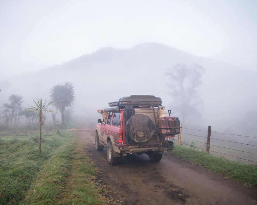 dog-traveling-car-motorcycle-maddie-on-road-16 dog-traveling-car-motorcycle-maddie-on-road-16