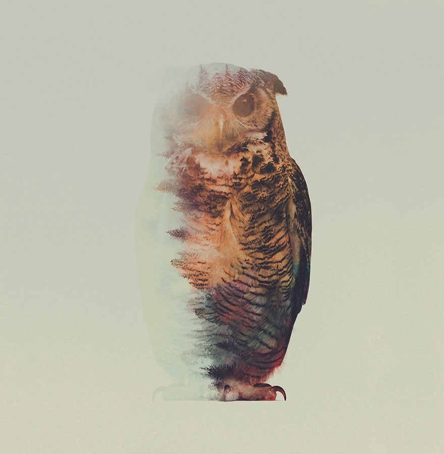 Double-Exposure Animal Portraits By Norwegian Photographer Double-Exposure Animal Portraits By Norwegian Photographer