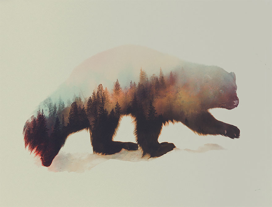 Double-Exposure Animal Portraits By Norwegian Photographer Double-Exposure Animal Portraits By Norwegian Photographer