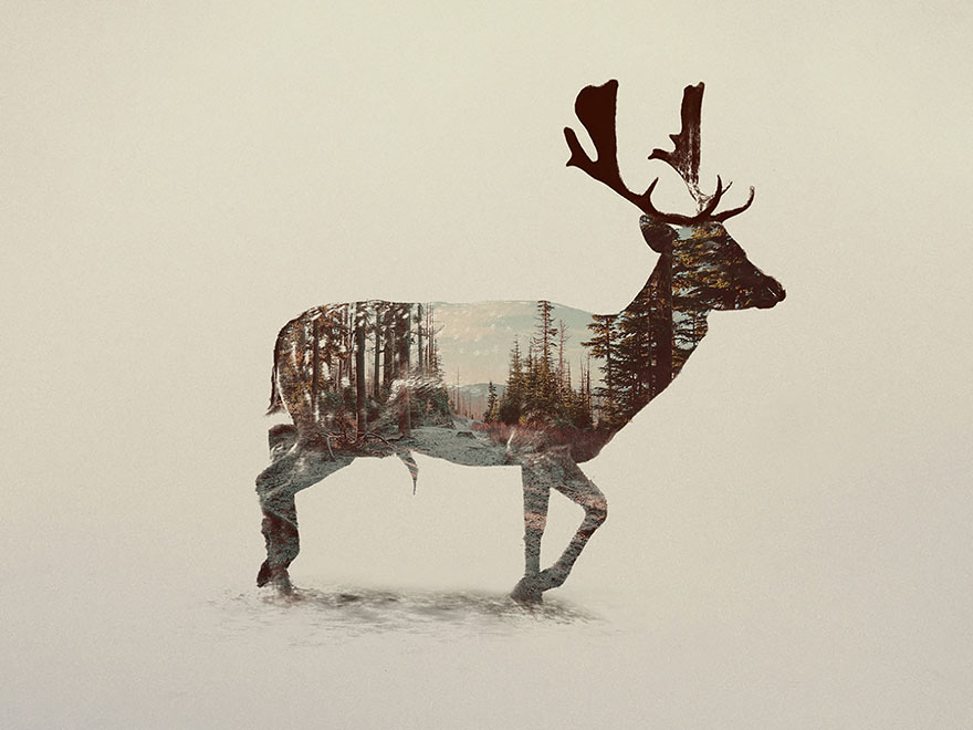 Double-Exposure Animal Portraits By Norwegian Photographer Double-Exposure Animal Portraits By Norwegian Photographer