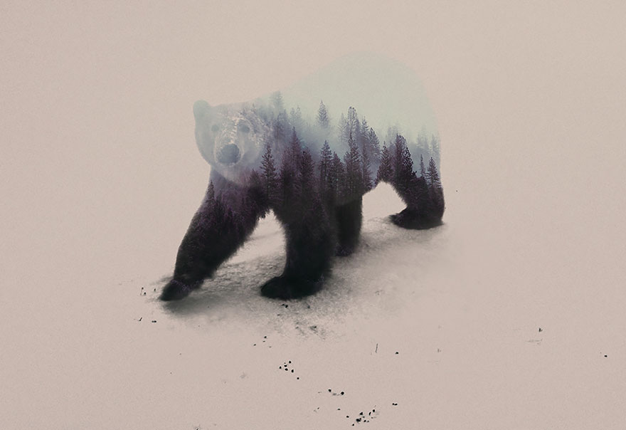 Double-Exposure Animal Portraits By Norwegian Photographer Double-Exposure Animal Portraits By Norwegian Photographer