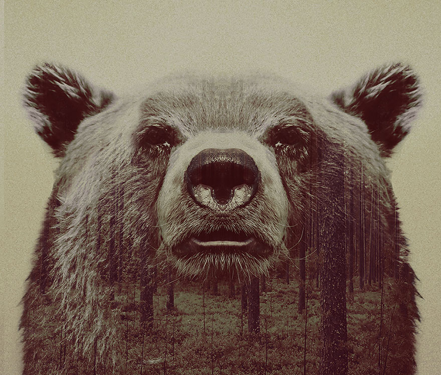 Double-Exposure Animal Portraits By Norwegian Photographer Double-Exposure Animal Portraits By Norwegian Photographer