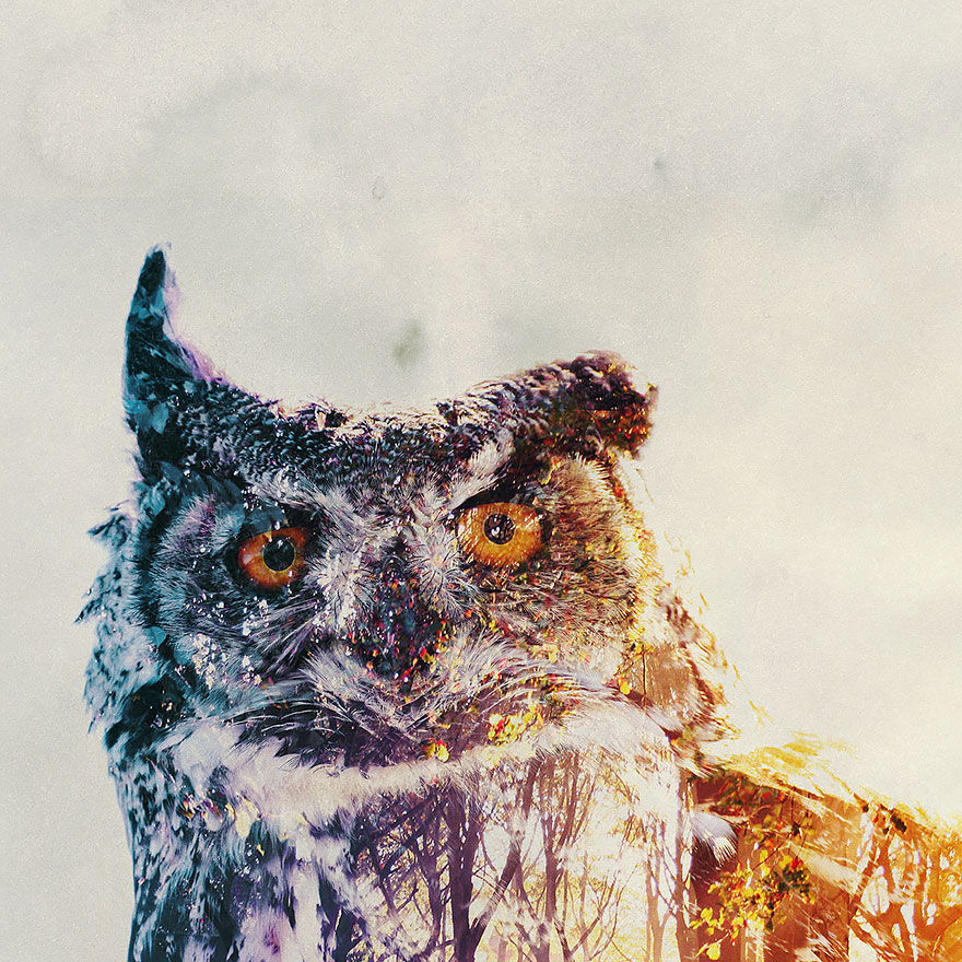 Double-Exposure Animal Portraits By Norwegian Photographer Double-Exposure Animal Portraits By Norwegian Photographer