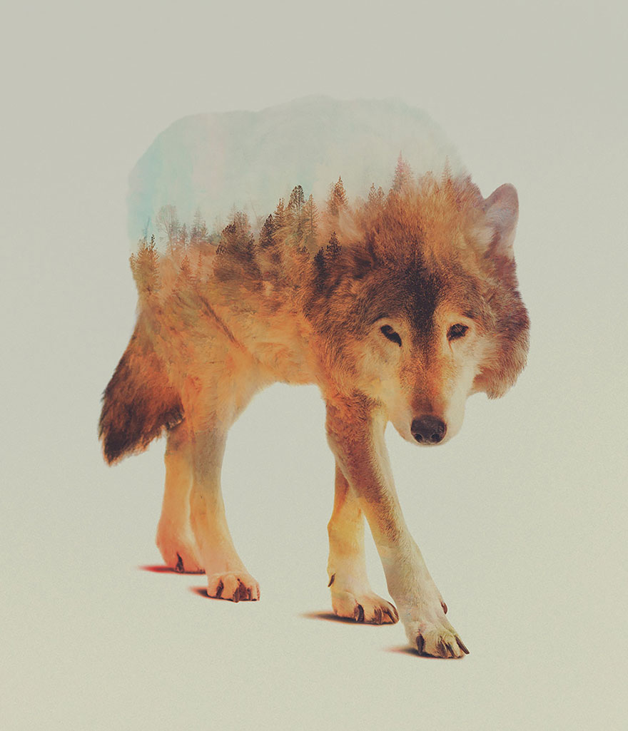 Double-Exposure Animal Portraits By Norwegian Photographer Double-Exposure Animal Portraits By Norwegian Photographer