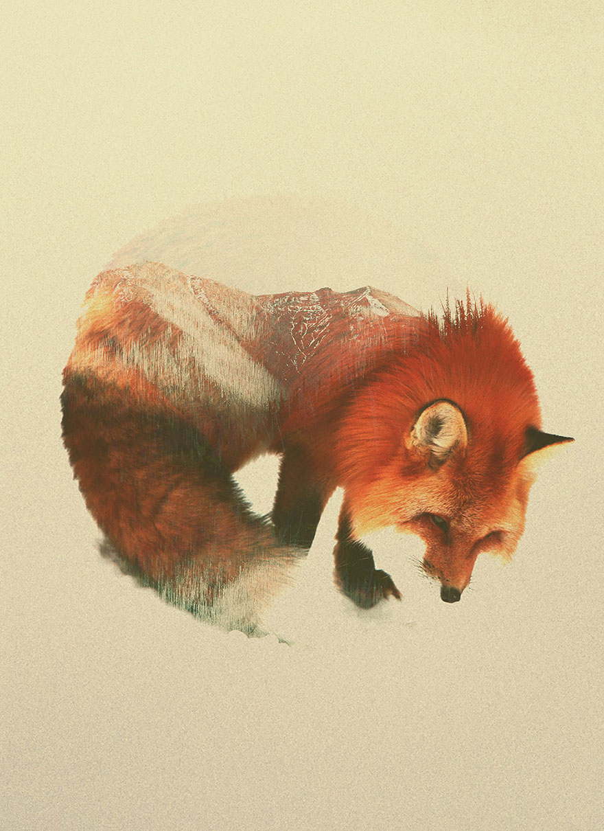 Double-Exposure Animal Portraits By Norwegian Photographer Double-Exposure Animal Portraits By Norwegian Photographer