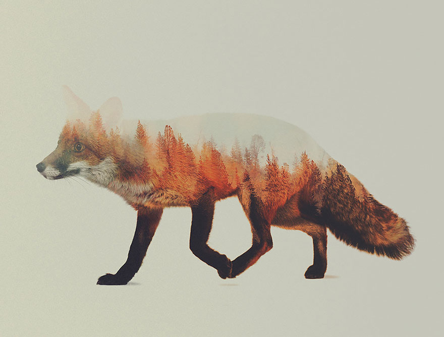 Double-Exposure Animal Portraits By Norwegian Photographer Double-Exposure Animal Portraits By Norwegian Photographer