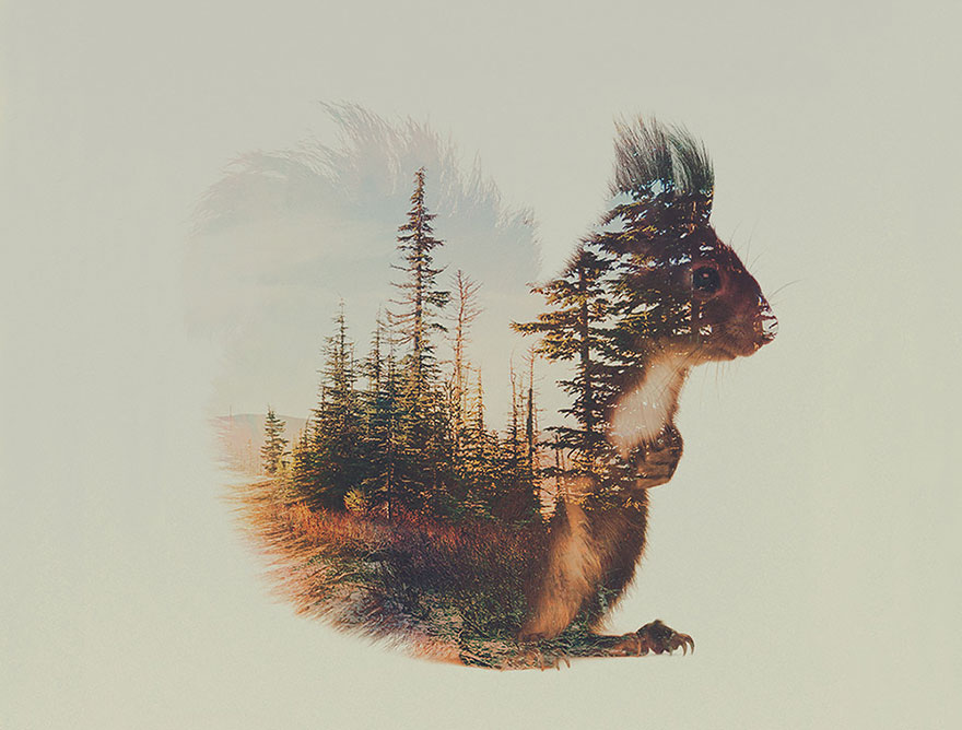 Double-Exposure Animal Portraits By Norwegian Photographer Double-Exposure Animal Portraits By Norwegian Photographer
