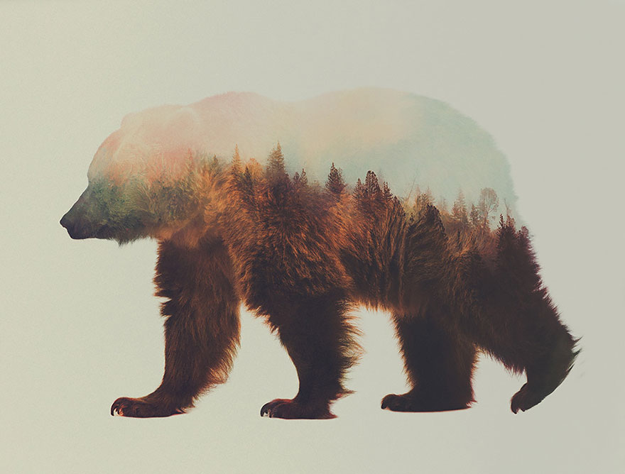 Double-Exposure Animal Portraits By Norwegian Photographer Double-Exposure Animal Portraits By Norwegian Photographer