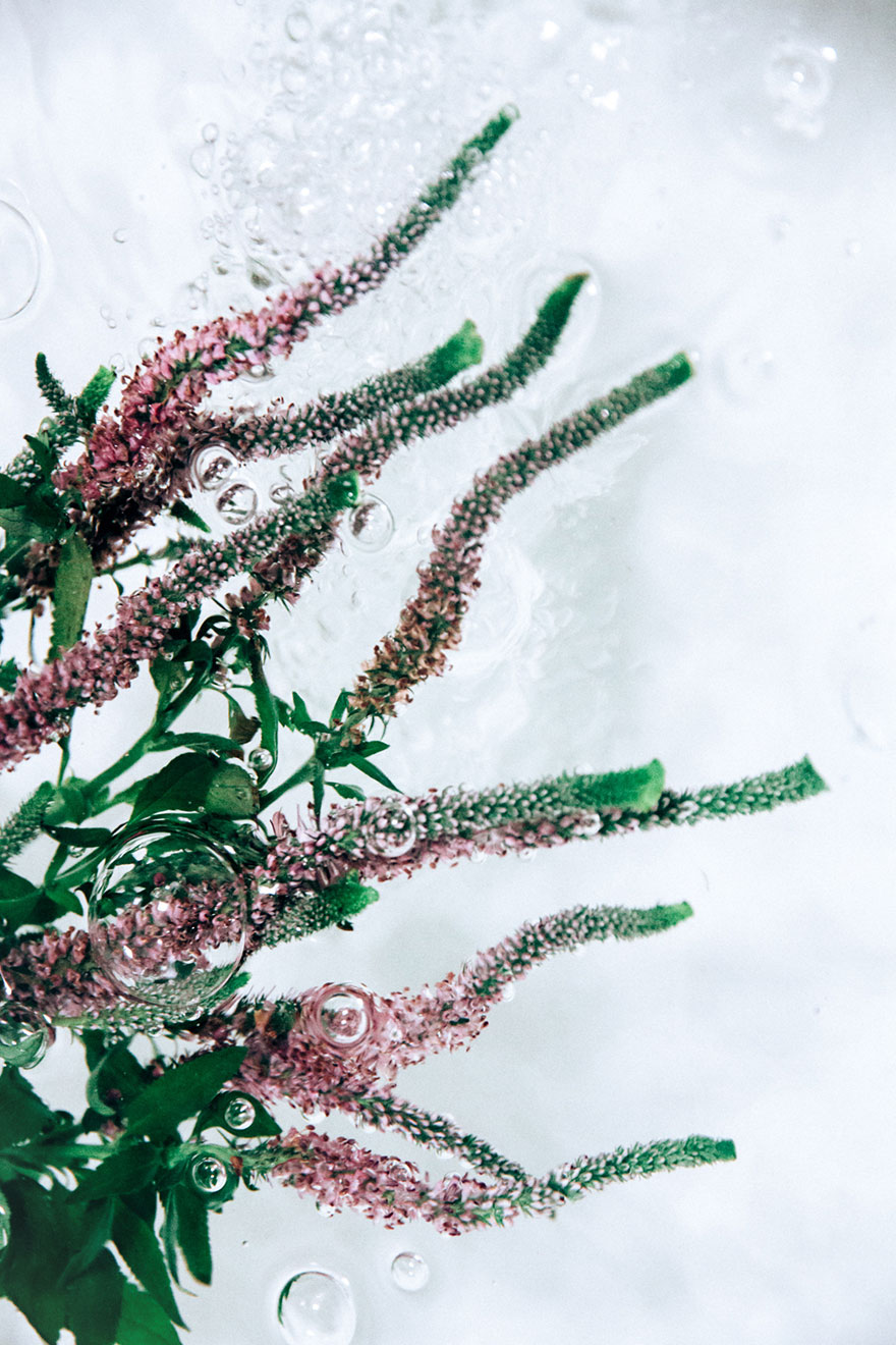 flowers-moving-water-flotsam-lisa-sorgini-4 flowers-moving-water-flotsam-lisa-sorgini-4