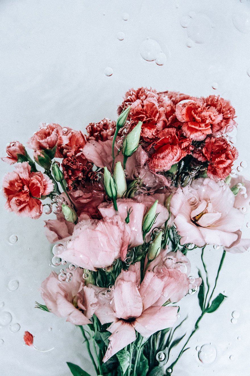 flowers-moving-water-flotsam-lisa-sorgini-6 flowers-moving-water-flotsam-lisa-sorgini-6