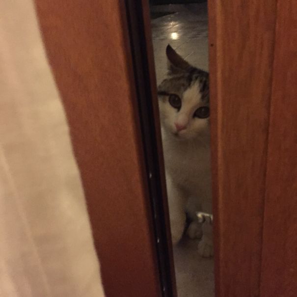 Pleeeeeeeeeeeeeeeease !!