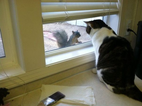 Won't You Please Let Me In? I Will 'cater' To All Your Needs