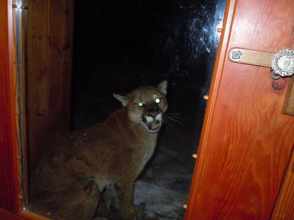 What Do You Mean You Won't Let Me In?