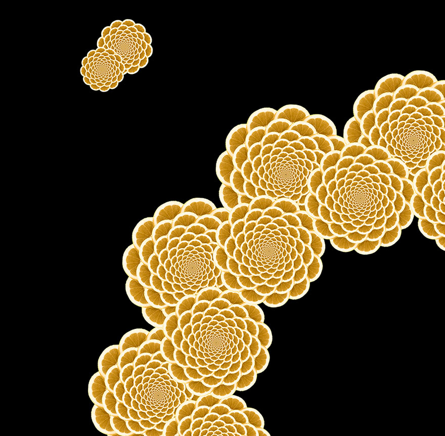 geometric-forms-illustrations-cedric-lefebvre geometric-forms-illustrations-cedric-lefebvre