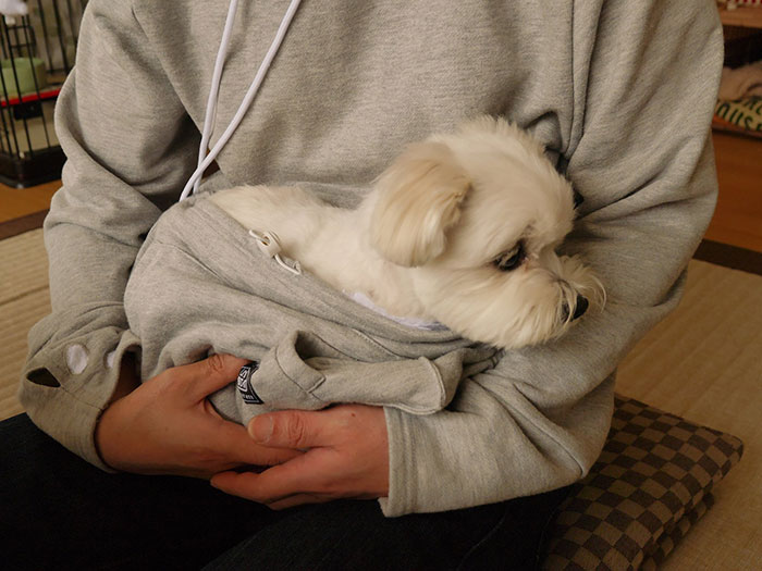 hoodie-cat-pouch-pocket-sweatshirt-mewgaroo-3