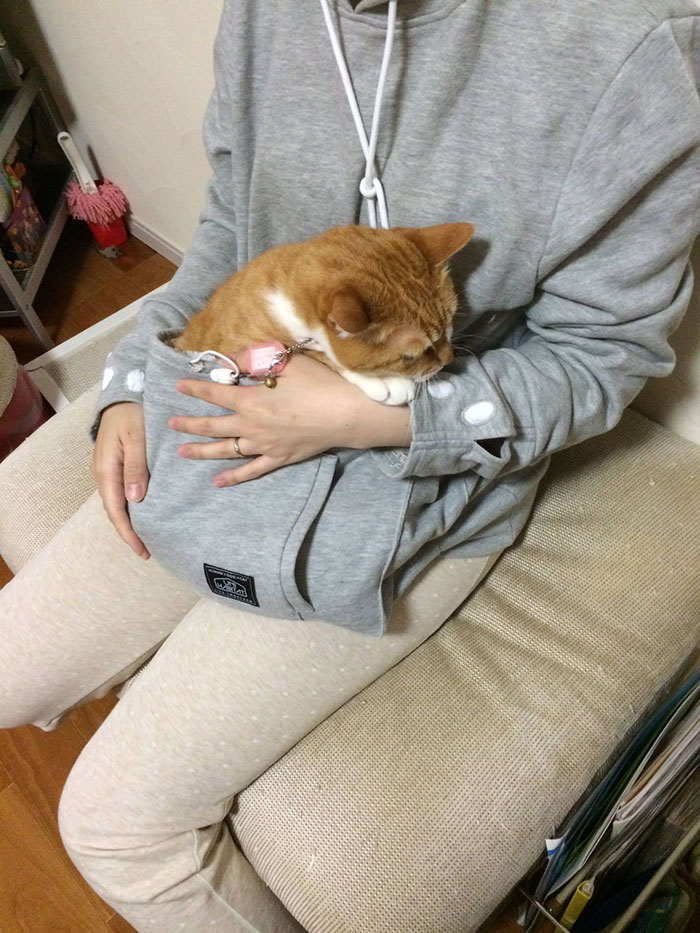 hoodie-cat-pouch-pocket-sweatshirt-mewgaroo-4 hoodie-cat-pouch-pocket-sweatshirt-mewgaroo-4